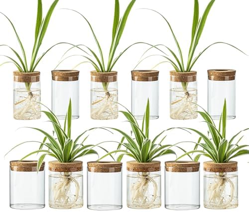 Glass Propagation Stations for Plants -Desktop Flower Vases,Propagation Flower Vases Set – 6 Large & 6 Small for Plant Cuttings，for Living Room, Bedroom Decoration,Home,Office Decor (12) by CHPINDAM