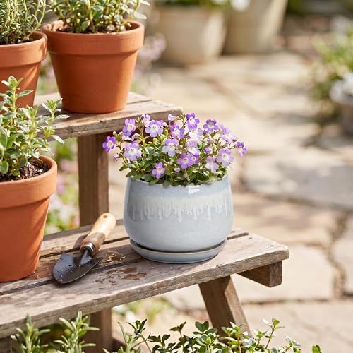 4 Inch Planter - Ceramic Plant Pots for Indoor Plants, Round Succulent Pots with Drainage and Saucer, Decorative Small Planter, Home Desktop Decor, Gardening Gifts for Women, Grey-White - Image 6