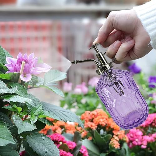 Glass Plant Mister Spray Bottle, 400ML Vintage Plant Spritzer with Top Pump Watering Can for Indoor Outdoor House Plants, Flowers (Purple) - Image 2