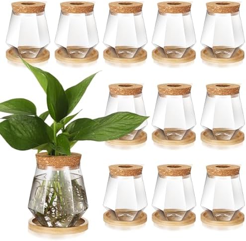 Baderke 12 Pack Propagation Vases for Plants, Cup Style by Baderke