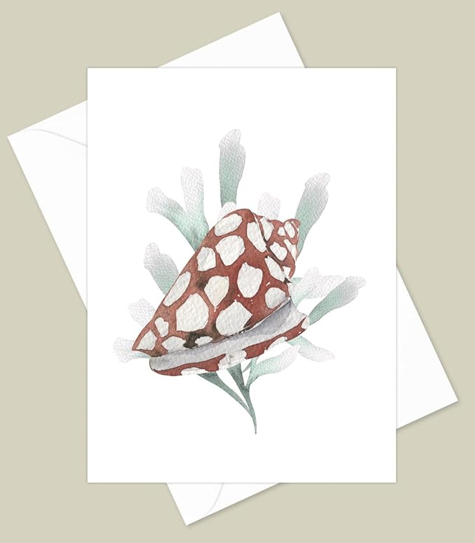 Sea Shell Greeting Cards - Set of 10 All Occasion 5 x 7 Note Cards with Envelopes. Blank Inside. Watercolor Designs of Seashells, Starfish and Coral