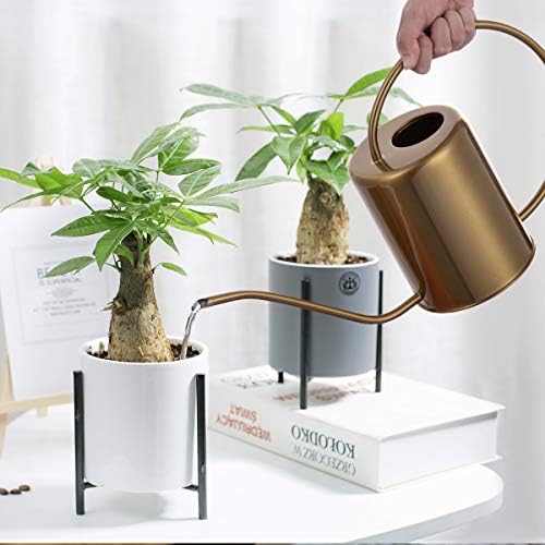 Yowon 1/2 Gallon 68oz Long Spout Stainless Steel Gold Colored Watering Can for Indoor Plant Watering or Outdoor Gardening with 2 Removable Spray Spout for Flowers - Image 7