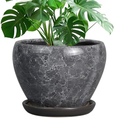 Ceramicfor Ceramic Planters for Indoor Plants - 10 Inch Plant Pot with Drainage Hole and Saucer, Large Flower Pot for Home Decor, Gray by Ceramicfor