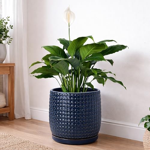 D'vine Dev Beaded Ceramic Pot with Saucer, 8 in, Midnight Blue, 27-C-Q-3 - Image 5