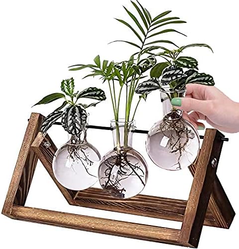 Kingbuy Desktop Glass Planter Iron and Wooden Stand Plant Terrariums for Indoor Office Desk Decor Accessories, 3 Bulb Vases, Brown by Kingbuy