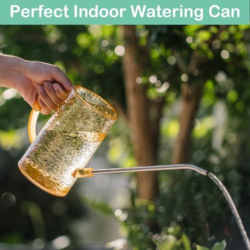 Long Spout Watering Can Indoor Plants, Small Watering Cans for House Plants, Flowers, Succulents 34oz - Image 7