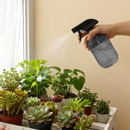 YYTSGG Glass Plant Mister Bottle, 15oz, Gray - Image 5