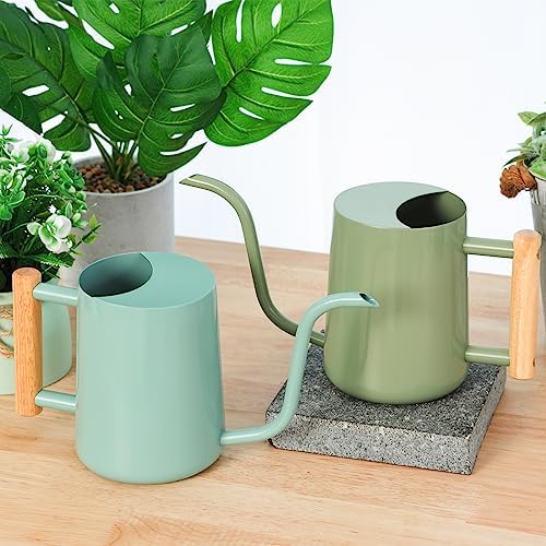 Metal Watering Can for Indoor Plants, 35oz Sage Green Cute Stainless Steel Pot with Long Spout for Indoor House Plants Bonsai Outdoor Garden Flower Decorative - Image 5
