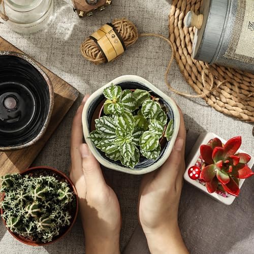 Modern Irregular Ceramic Planter Set of 4, 4 Inch Small Unique Reactive Glaze Flower Pots with Drainage Holes & Saucers - Indoor Outdoor Decorative Succulent Orchid Pots- Light Green - Image 3