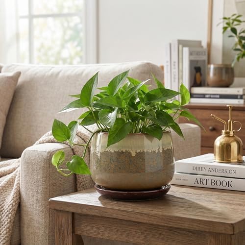 Ceramic Pots for Plants, 6 Inch Plant Pot Indoor, Brown-Beige - Image 6