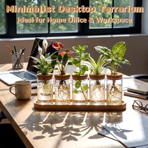 Zhehao 5 Pack Plant Propagation Station Hydroponic Glass Jar Terrarium with Cork Lids Bamboo Tray Desktop Planter for Rooting Cuttings Home Office Garden Decor - Image 6