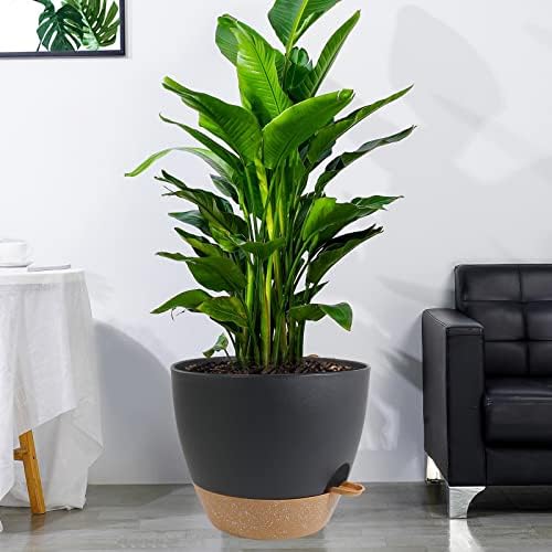 UOUZ 12 inch Large Self Watering Pots, Plastic Planters with 60oZ Removable Deep Reservoir and Multi Mesh Drainage Holes for Indoor Outdoor Garden Plants and Flowers, Black with Brown - Image 6