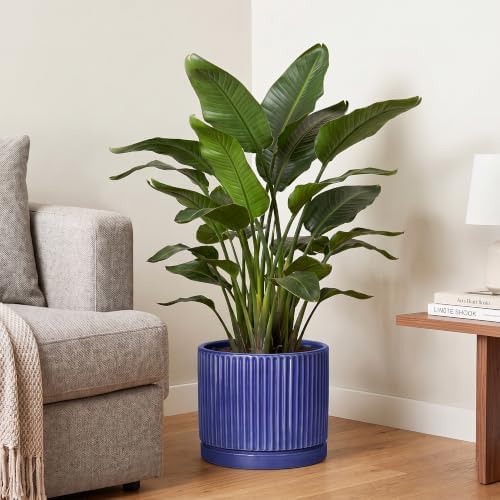 Ceramic Plant Pots 10 Inch, Round Pots for Plants with Tray, Blue - Image 4