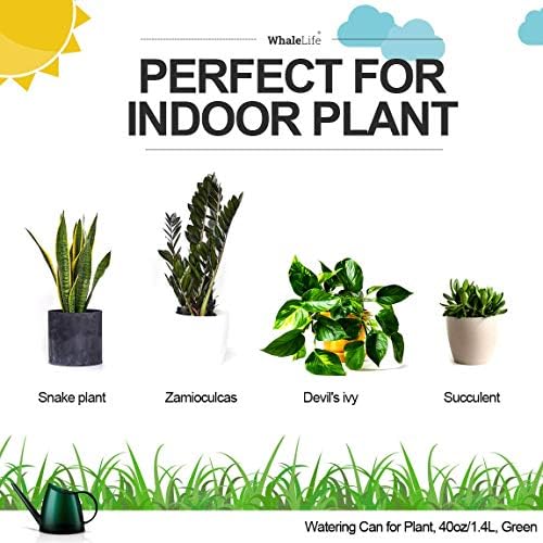 WhaleLife Small Indoor Plant Watering Can - 1.4L Dark Green Long Spout - Image 2