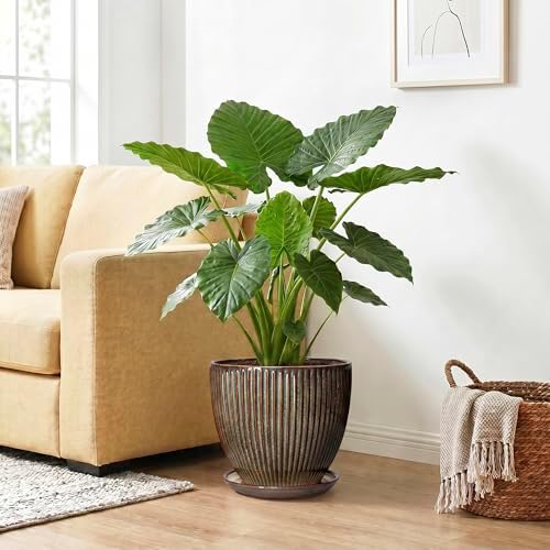 Ceramic Pots for Plants, 10 Inch Planters for Indoor Plants, Decorative Planter with Drainage Hole and Saucer, Round Indoor Plant Pots, Modern Planter, House Decor, Women Men Gifts, Retro Brown - Image 4