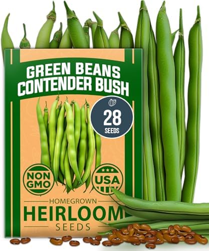 HOME GROWN Contender Bush Bean Seeds, 28+ Seeds, Phaseolus vulgaris by HOMEGROWN