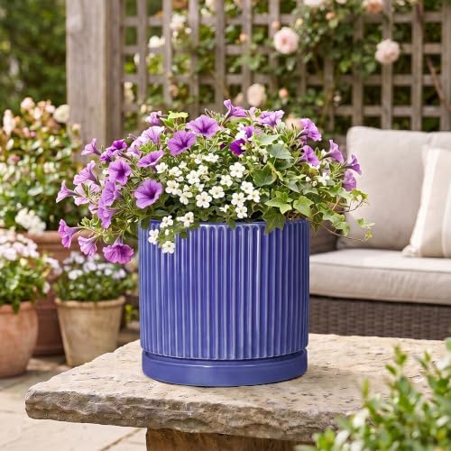 Ceramic Plant Pots 10 Inch, Round Pots for Plants with Tray, Blue - Image 5