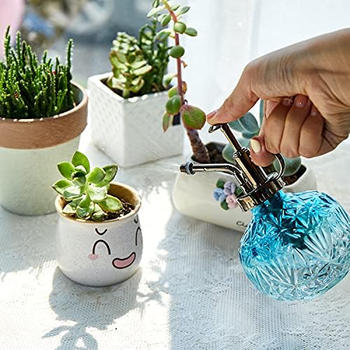 Glass Plant Mister Water Spray Bottle, Succulent Watering Bottle with Plastic Top Pump, Vintage Style Plant Sprayer, Small Watering Can for Indoor Outdoor House Plants - Blue - Image 5