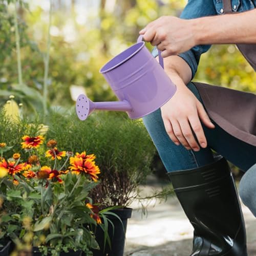 Small Watering Can, 1L Metal Flower Garden Watering Can, Gardening Tool Accessories for Outdoor Indoor Plants Lawn (Purple) - Image 3