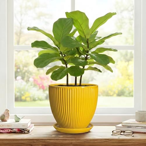 8 Inch Pots for Plants, Ceramic Plant Pots for Indoor Plants, Round Ceramic Planter with Drainage Hole and Saucer, Modern Decorative Plant Pot, Home Kitchen Decor, Women Men Gifts, Yellow - Image 7
