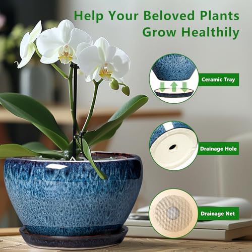 Ceramicfor Ceramic Pots for Plants - 9 Inch Plant Pot Indoor with Drainage Hole and Saucer, Ceramic Planters for Outdoor Plants, Round Modern Flower Pot, Housewarming Gifts, Home Decor, Blue - Image 5