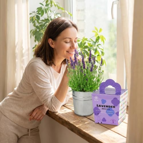 Lavender Grow Kit, All-in-One Indoor Flower Garden Starter Kit with Conical Metal Planter, Complete Growing Set for Gardening Enthusiasts, Windowsill Home Gardening - Image 2