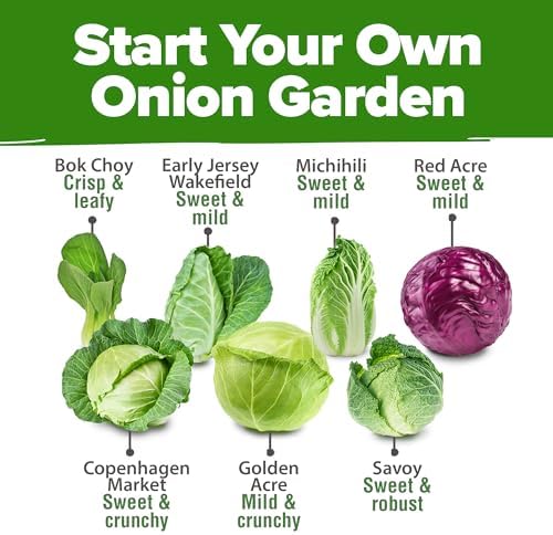 HOME GROWN 7 Cabbage Variety Mix 2000+ Vegetable Seeds - Image 2