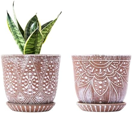 Gepege Ceramic Plant Pots, 6 Inch Indoor Planters with Drainage & Saucers by Gepege