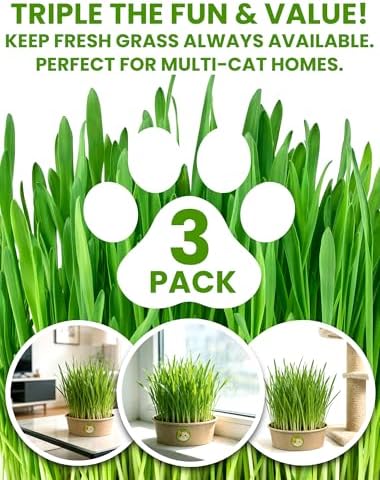 Cat Grass Kit for Indoor Cats, 3 Pack Fast Growing Cat Grass Kit with Eco-Friendly Biodegradable Pots, Soil & Wheatgrass Seeds, Grows in 3-7 Days with High Germination Rate - Image 5
