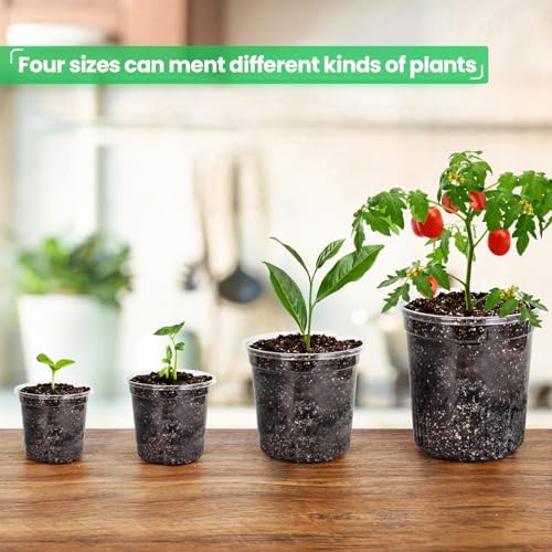 Bluepro Clear Nursery Pots with Drainage Holes, 3.5/4/5/7 Inch, 36-Pack - Image 6