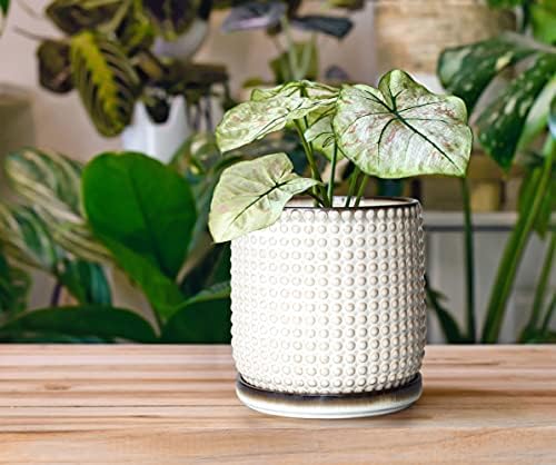 D'vine Dev Beaded Ceramic Pot with Saucer, 6 in, Smoked White, 27-C-X-1 - Image 5