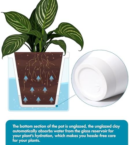 D'vine Dev Self-Watering White Terracotta Planter Pot, 10 in, 37-X-D-2 - Image 4