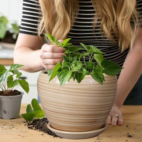 Ceramicfor Planter Pot 8 Inch, Ceramic Pot for Plants, Yellow - Image 4