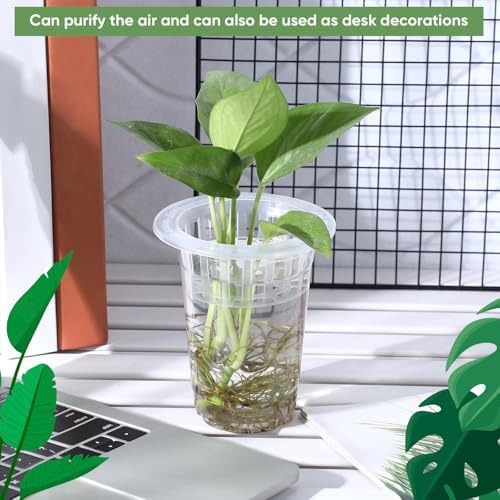 Baderke 36 Pcs Plastic Plant Propagation Vase for Indoor Decor, 4.57'' - Image 5