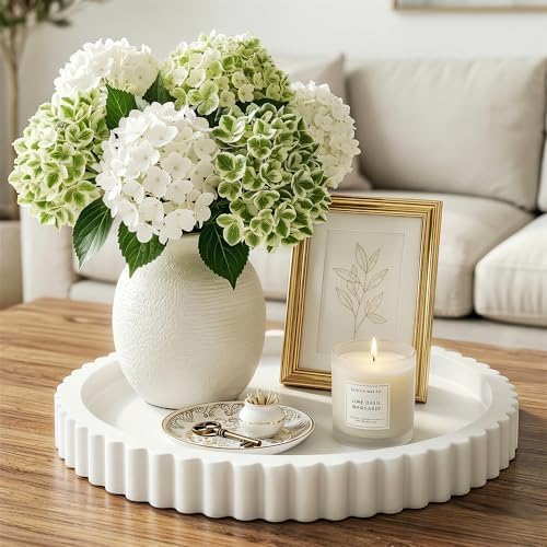 FGU Round Wood Decorative Tray for Coffee Table Home Decor, White by Unknown