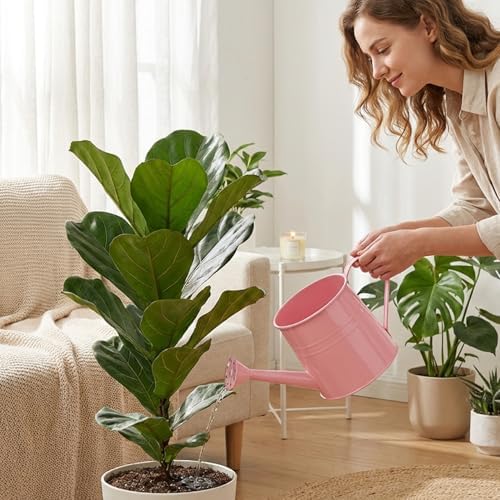 Indoor Watering Can Small Watering Can, Iron Metal with Mesh Spout Vintage Style House Plant Pot Decorative & Functional for Flowers and Plants - Image 2