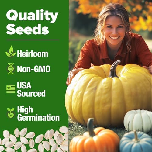 HOME GROWN Pumpkin Mix Seeds, 5 Variety, 40+ Seeds, Cucurbita Pepo - Image 5