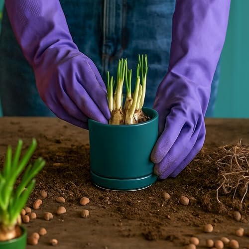 D'vine Dev 3.5 Inch Ceramic Planter Pot, Teal, 94-O-A-9 - Image 3