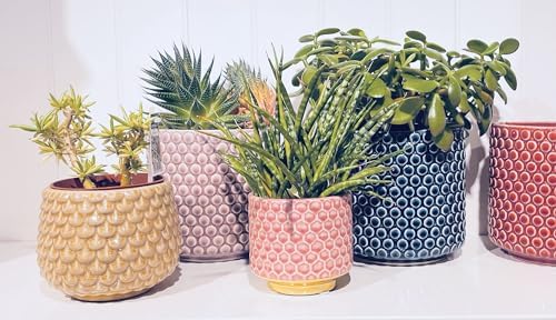 Nordring Stoneware Flower Pot, 6'' Rose, Polka Dots - Image 2