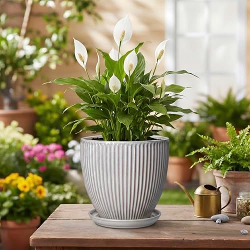 6 Inch Pots for Plants, Ceramic Plant Pots for Indoor Snake Plants, Round Succulent Planter with Drainage Hole and Saucer, Modern Decorative Flower Pot, Bathroom Decor, Gardening Gifts, Grey - Image 4