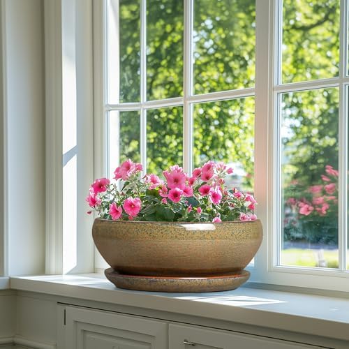 SQOWL Ceramic Bonsai Pots, 12 Inch Succulent Pots with Saucer, Brown - Image 6