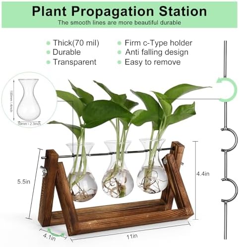 YIBOT Propagation Stations,Plant Terrarium with Wooden Stand-3 Glass Vases - Image 3