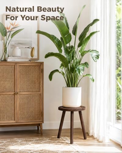 Bamworld Plant Stand Indoor 3 Pack Plant Stools for Indoor Plants Wooden Plant Stands Corner Plant Stools for Patio Garden Balcony Living Room Bedroom(Brown) - Image 5