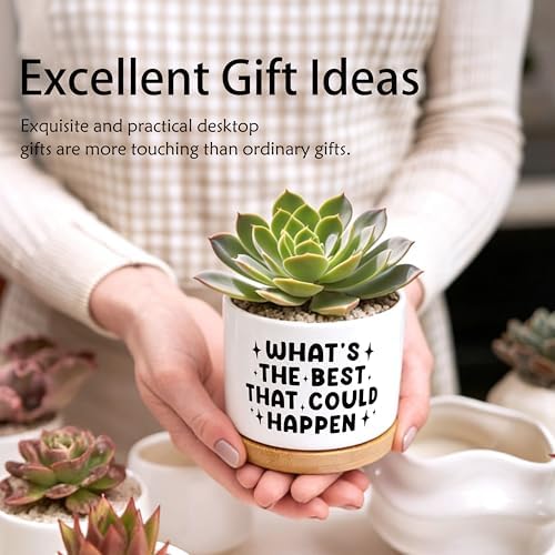Inspirational Planter Pots, Positive Affirmation Gifts, What's the Best that Could Happen Ceramic Succulent Plant Flower Planters for Home Office Desk Table Shelf(No Plants) - Image 4