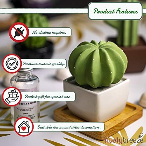 Dotti Cactus, Non-Electric Ceramic Diffusers for Essential Oils and Aromatherapy Fragrance, White Ceramic Diffusers in Car or Desk Office Decor and Small Bathroom at Home, White Vase - Image 4