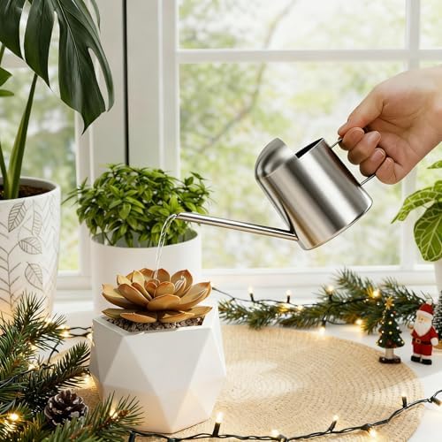 Bamworld Small Watering Can Indoor Outdoor Plant Black Metal Stainless Steel Long Spoutt Flowers Watering Cans for House Garden Plants 10OZ Watering Bottle Cute Stylish Gardening Decoration(Silver) by Bamworld