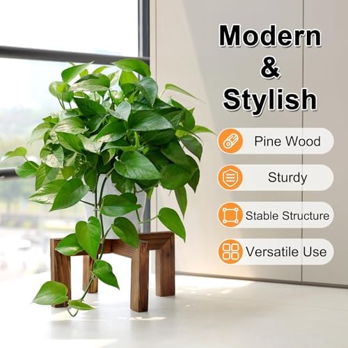 Vigordream Plant Stand, Indoor/Outdoor Wood Plant Holder, Flower Pot Stand - Image 2