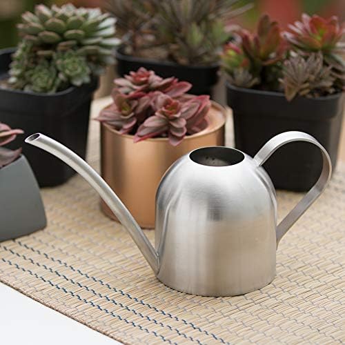 Watering Can for Indoor Plants, 450ml/15oz Stainless Steel - Image 4