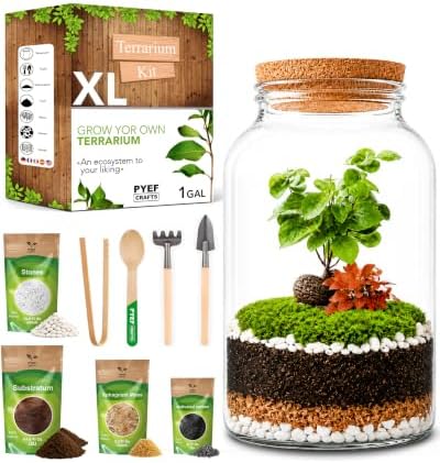 Terrarium Kit for Plants DIY (1 Gallon) by PYEFCRAFTS
