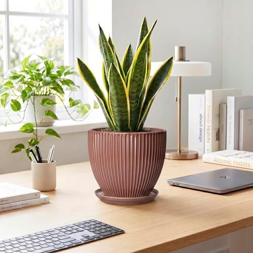 8 Inch Ceramic Flower Pots, Plant Pots Indoor with Drainage Hole and Saucer, Round Flower Pot for Indoor Plants, Decorative Modern Planter, Garden House Decor, Gardening Gifts, Rust Red - Image 3